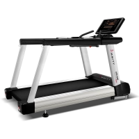 Беговая дорожка Ammity Pro ATM 4500